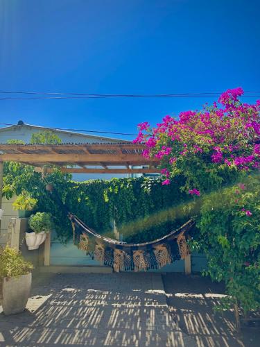 Kert, Mario & Luiza's Cozy Stay - Pool, Braai & Games in Worcester