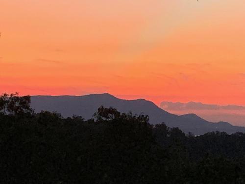 A Smoky Mountain Dream #291 by Aunt Bug's Cabin Rentals - image 2