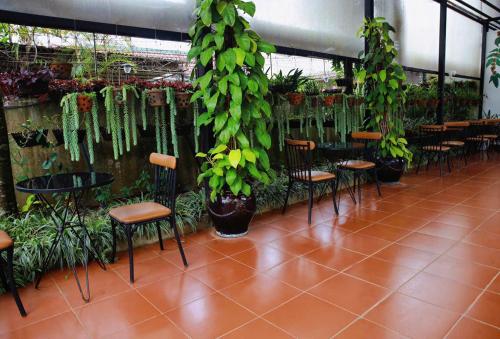 Khách sạn Bảo Lộc Garden - 레스토랑
