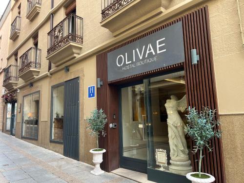 المنظر الخارجي, Olivae Hostal Boutique in Caceres City Center