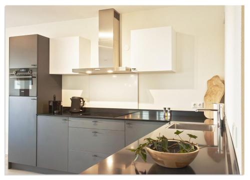 Luxury apartment near the water in Offingawier