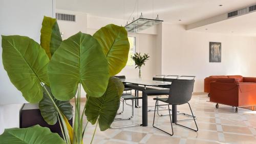 Palm & Sun in La Fontaine Sainte