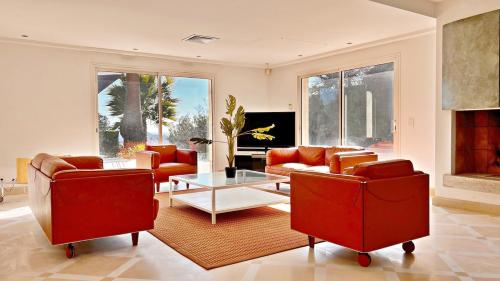 Palm & Sun in La Fontaine Sainte