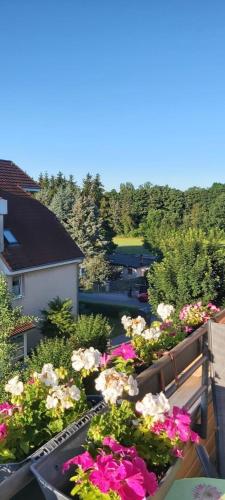 Ferienwohnung in Radeberg bei Dresden in Radeberg