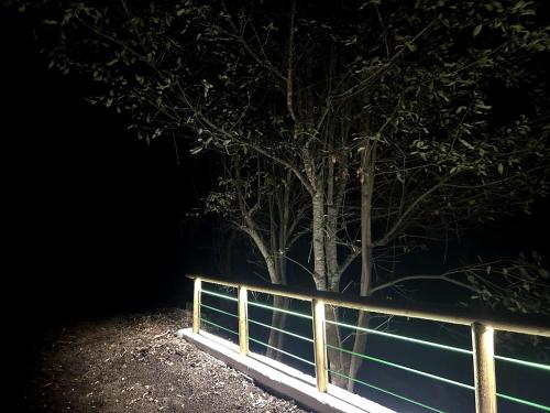 Skyview Duplex con vistas 360, Stevier Skyview Duplex con vistas 360, Stevier