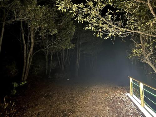 Skyview Duplex con vistas 360, Stevier Skyview Duplex con vistas 360, Stevier