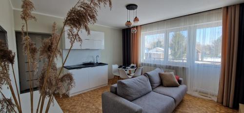 кухня, Villa Port Apartamenty in Modrzyca