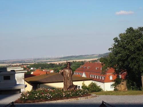Askanier - a45652 - image 12