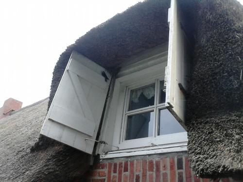 Friesenhaus am Meer in Dagebull