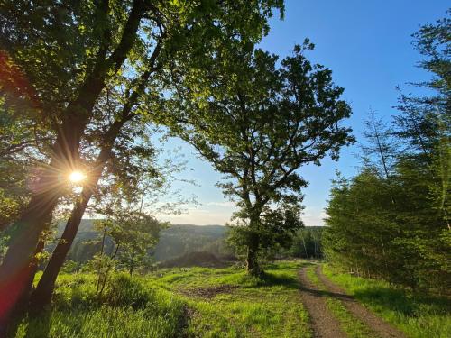 Bi Abbas Jong Bi Abbas Jong