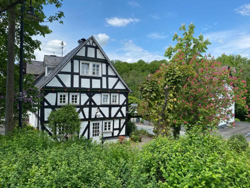 Bi Abbas Jong Bi Abbas Jong