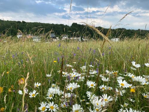 Bi Abbas Jong Bi Abbas Jong