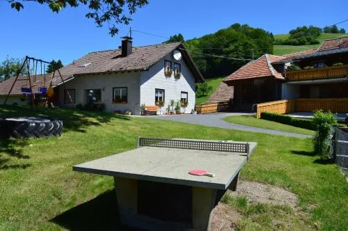 Haus Rümmele - Ferienwohnung 2 in Fröhnd, Deutschland