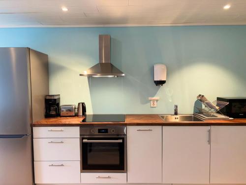 кухня, Winjum Apartments Aurland Stegastein in Еурланн