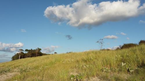 Ferienwohnung Weststrand 222m von Waldsiedlungsweg entfernt