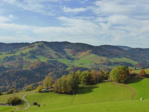 Ferienhof Wuchner - Fewo "Herbstlaub" in ลาร์/ชวาร์ซวาลด์