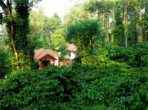 Natura Vista A Plantation Stay Natura Vista A Plantation Stay is perfectly located for both business and leisure guests in Coorg. The property has everything you need for a comfortable stay. Service-minded staff will welcome and gu