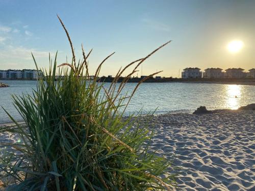 SECRA Exclusive Fewo Frida BOW 321 in Olpenitz