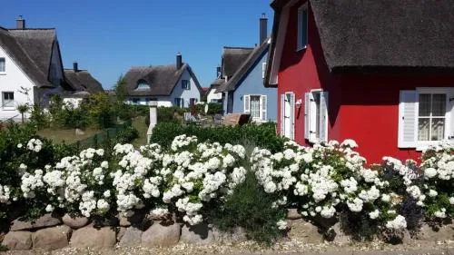 Seestern in Glowe, Deutschland