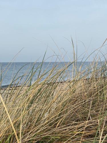 Ferienhaus 1, Fehmarn (fotografie 4)
