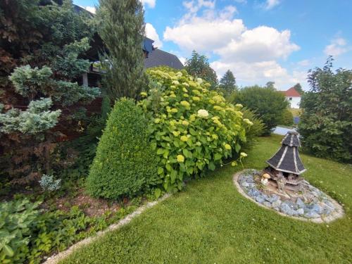 Ferienwohnung Rosa - Apartment - Horn-Bad Meinberg