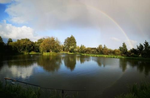 Ferienwohnung zum Zander - Sonniger Weitblick übers Feld in Wester-Ohrstedt, Deutschland