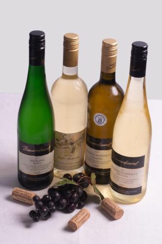 Ferienwohnung Riesling in Irsch (Trier-Saarburg)