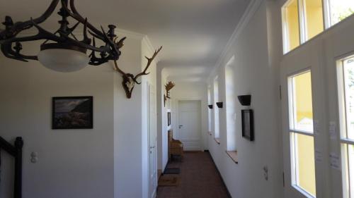 Gut Rattelvitz, Parterre B MITTE in Gingst, Deutschland