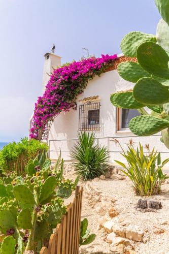 Sobre de Granadella Haus 5-bis in Ambolo