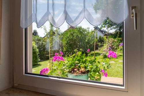 景觀, Ferienwohnung Fichtelsonne in 菲希特爾貝格