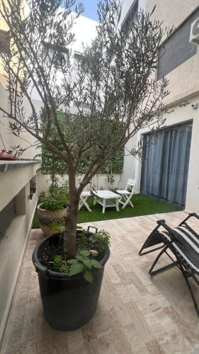 home garden, Casablanca (photo 8)