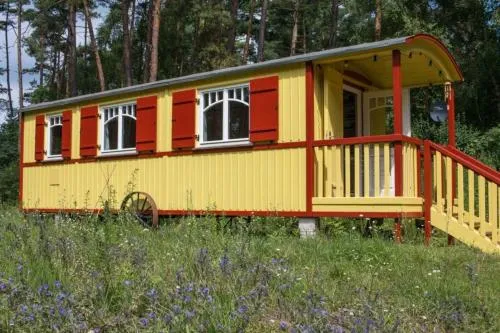 Zigappo Classique in Lychen, Deutschland