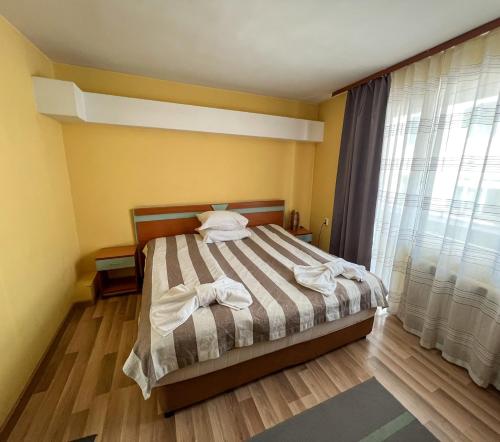 Hotel Alpha - image 8