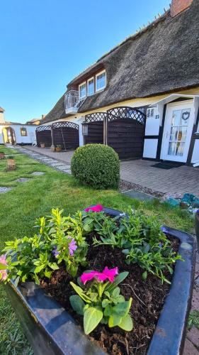 Appartement Nummer 26 in Olpenitz