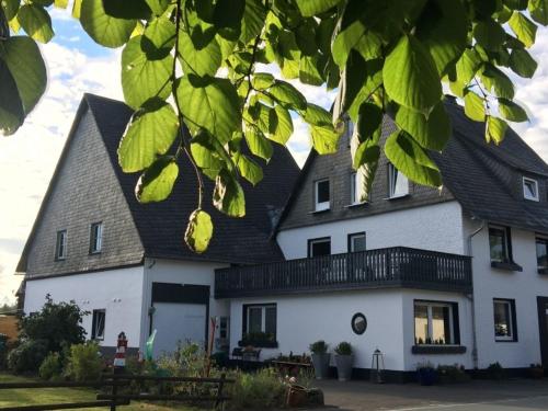 Ferienhaus Winterberg Lodge - a47381