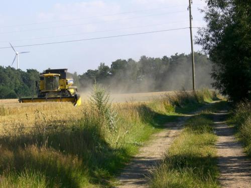 Ferienwohnung Dehnsen in 阿默靈豪森