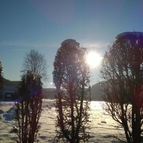 KaalemHof Angelsen in Birresborn