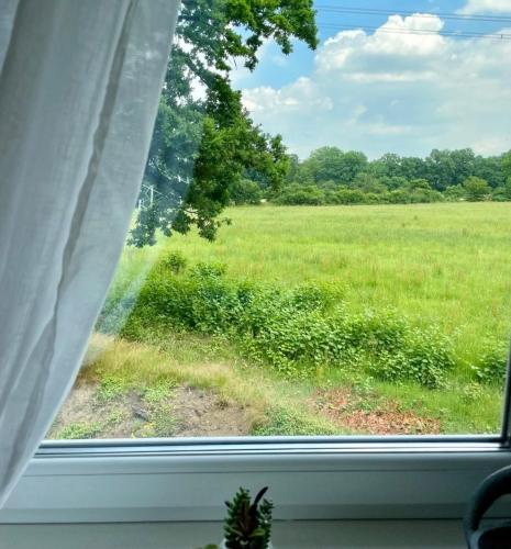 Familienfreundlichen Apartment mit traumhaft gruner Aussicht in Hamburg