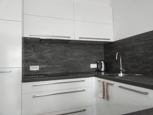 ห้องครัว, Apartmány Elite - Frištenského (Apartmany Elite - Fristenskeho) in เนเรดิน