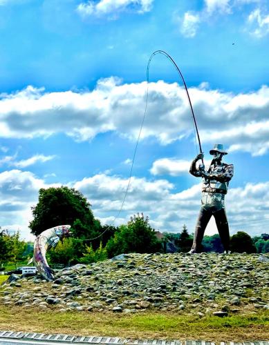 Gîte la Petite Semois à Mouzaive - image 10