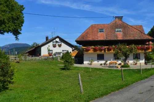 Haus Rümmele - Ferienwohnung 1 in Fröhnd, Deutschland