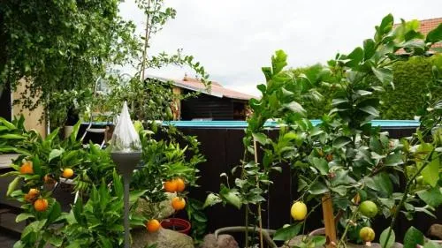 Pension Limone Ferienwohnung 2 in Neu Lindenberg, Deutschland