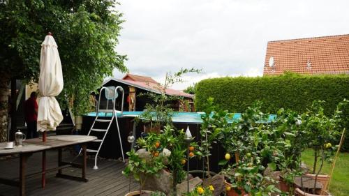 Pension Limone Ferienwohnung 2 in 阿倫斯費爾德