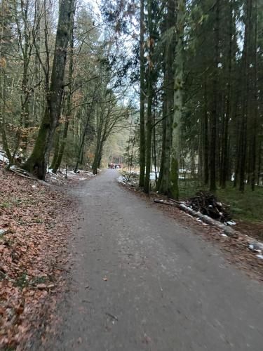 4 Sterne Ferienwohnung Rosengarten in Fürsteneck