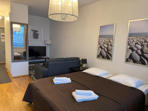 Park view city center studio with sauna, Helsinki (foto 8)