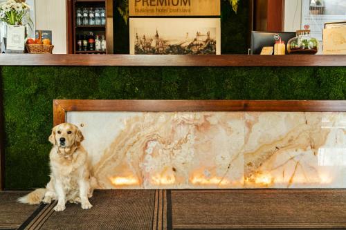 PREMIUM Business Hotel Bratislava - main image