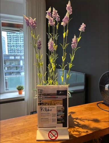Charmant appartement in Antwerpen Zuid met zicht op de stroom, Amberes (foto 7)
