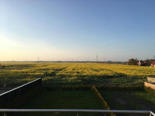 Seeblick 8 - Luxus direkt am Hafen von Norddeich, Norddeich (photo 9)