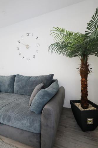 Apartment image 7