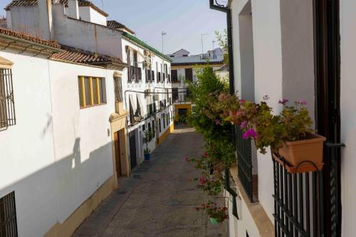 MiRa San Basilio, Córdoba (Foto 3)